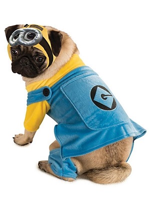 Despicable Me Dog Halloween Costume