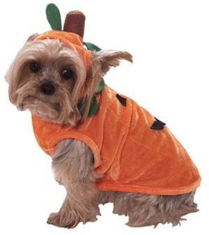 Pumpkin Dog Halloween Costume