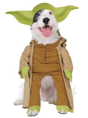 Star Wars Yoda Dog Halloween Costume