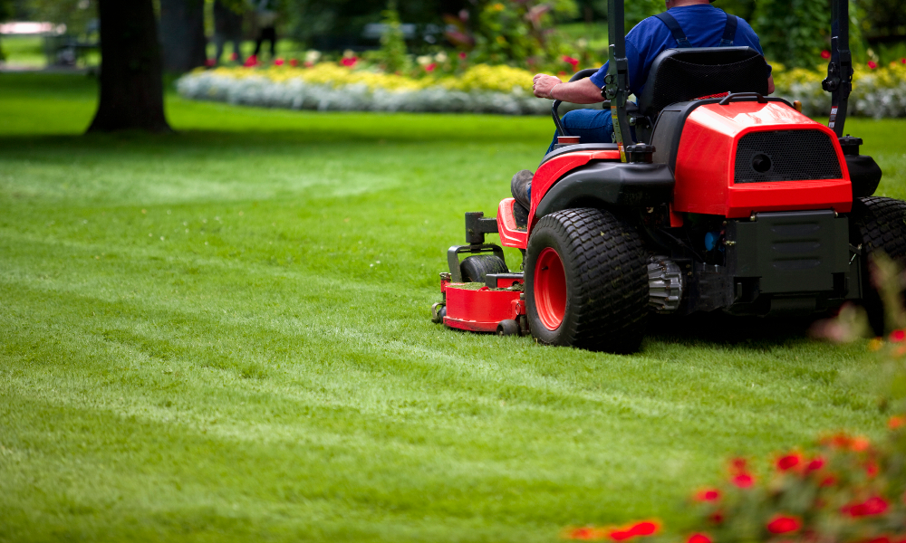 Caring For Your Lawn When It's HOT, HOT, HOT