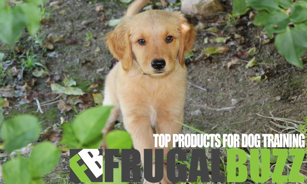 Top Products For Dog Training
