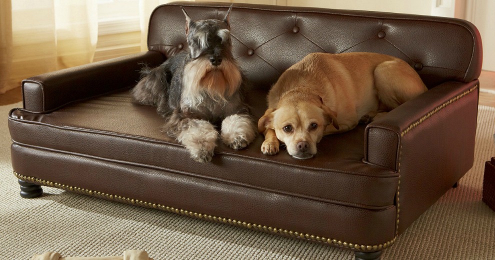 Archie & Oscar Consuelo Dog Sofa