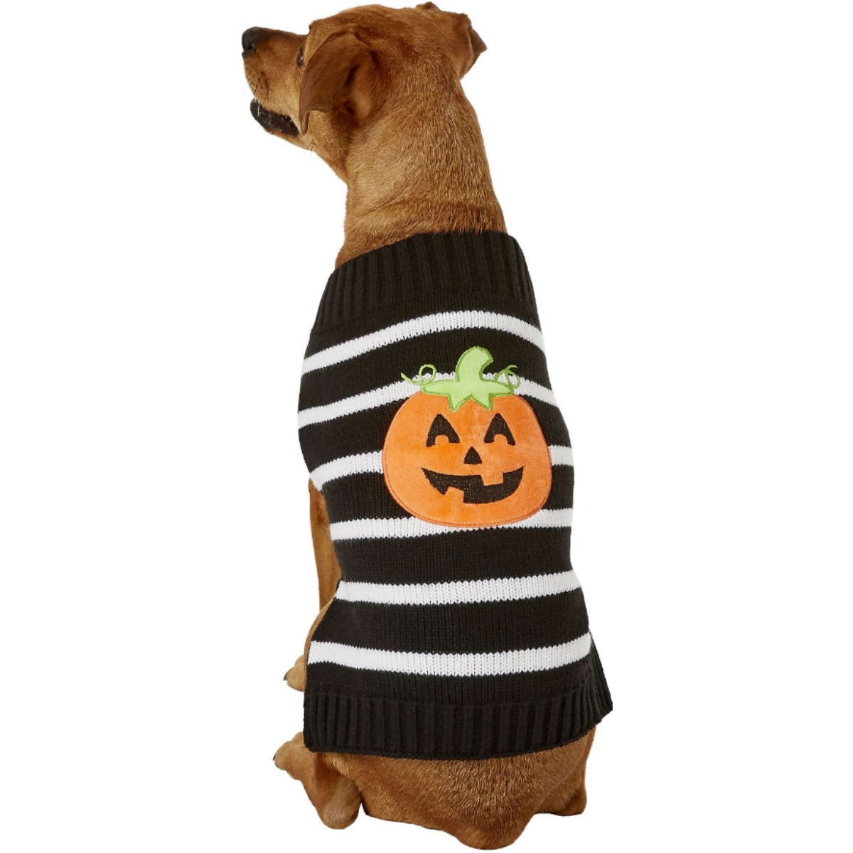Pup Crew Pumpkin Stripes Dog Sweater