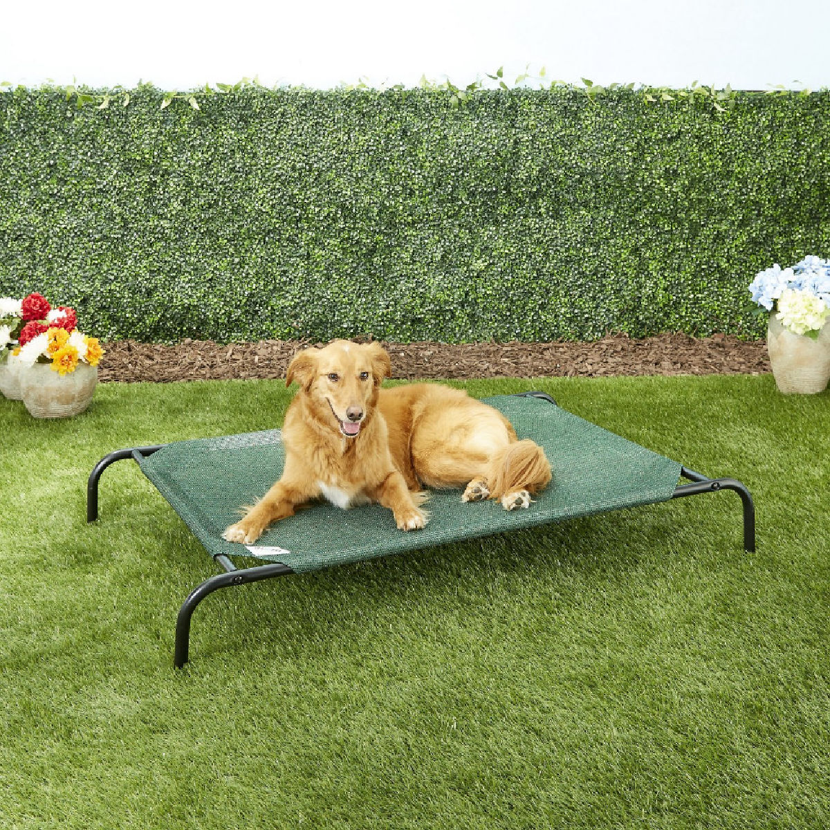 Coolaroo Steel-Framed Elevated Dog Bed