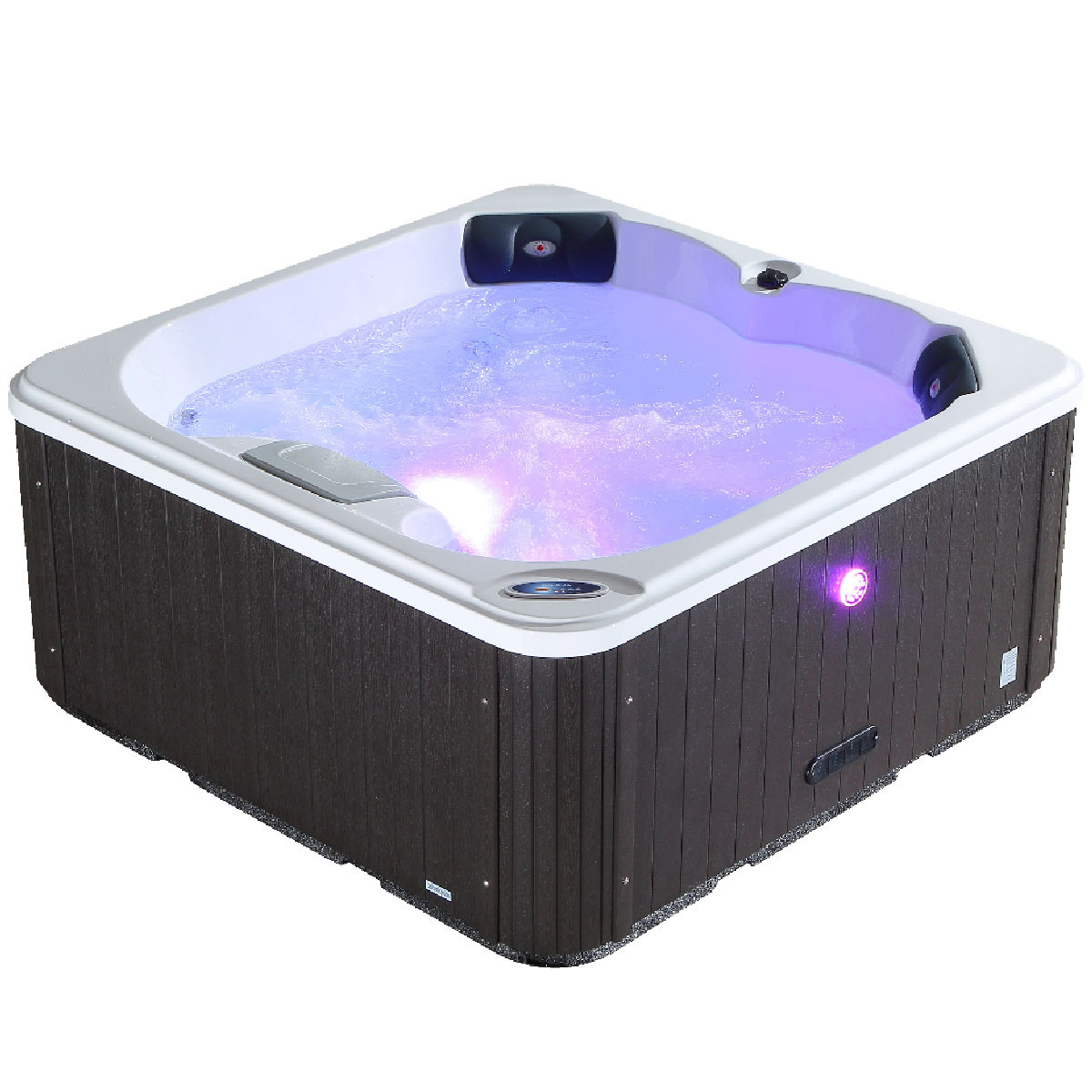 Canadian Spa Company Saskatoon 12 Jet Plug and Play Hot Tub