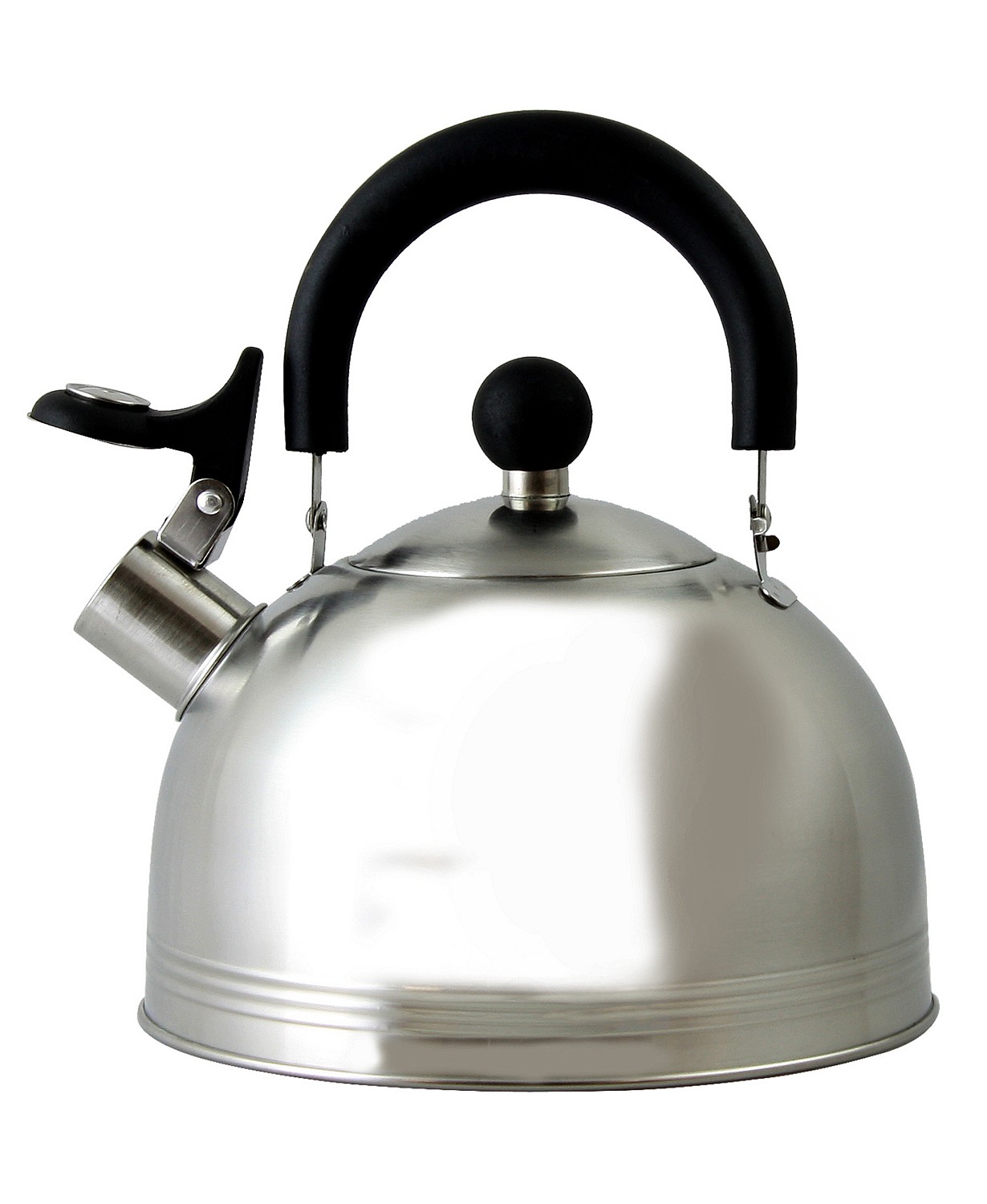 Mr. Coffee Carterton 1.5 Qt Stainless Steel Whistling Tea Kettle
