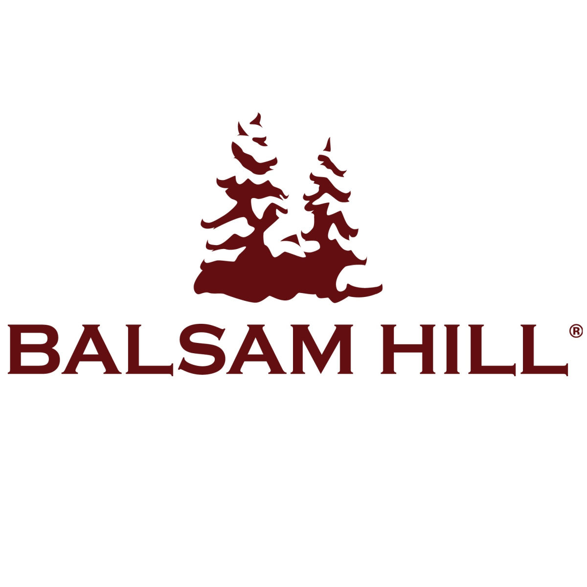 Balsam Hill 2021 Black Friday Deals