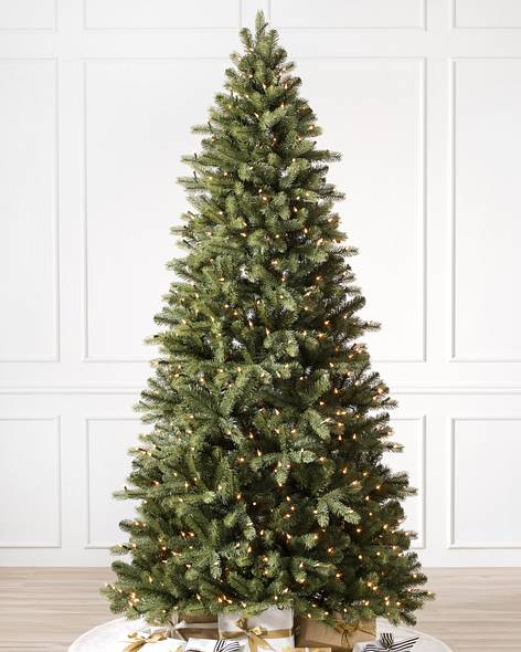 Bellevue Spruce (6.5' Clear LED)