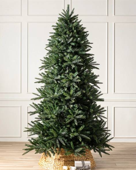 Mariana Spruce (5.5' Unlit with Simple String)