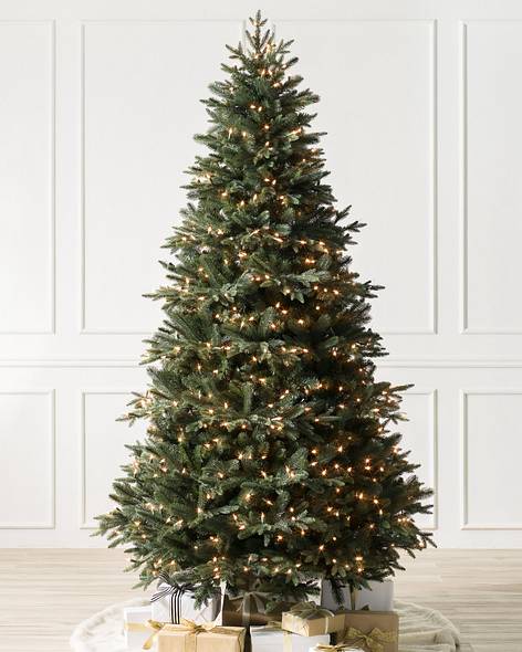 Saratoga Spruce Tree (7' Clear LED)