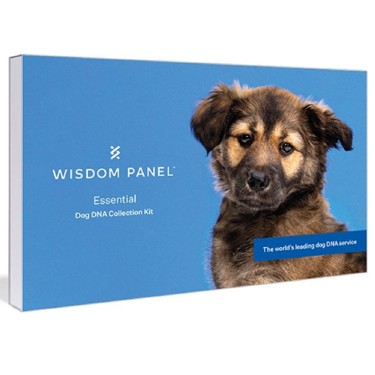 Wisdom Panel Essential Dog DNA Test
