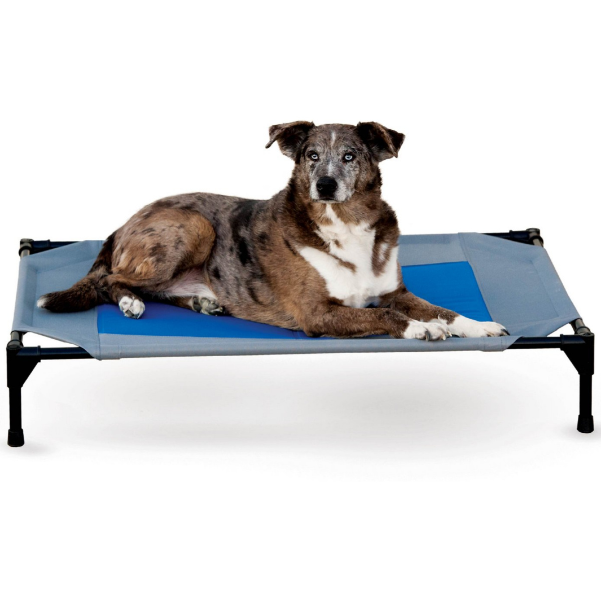 K&H Pet Products Coolin’ Pet Cot Elevated Pet Bed