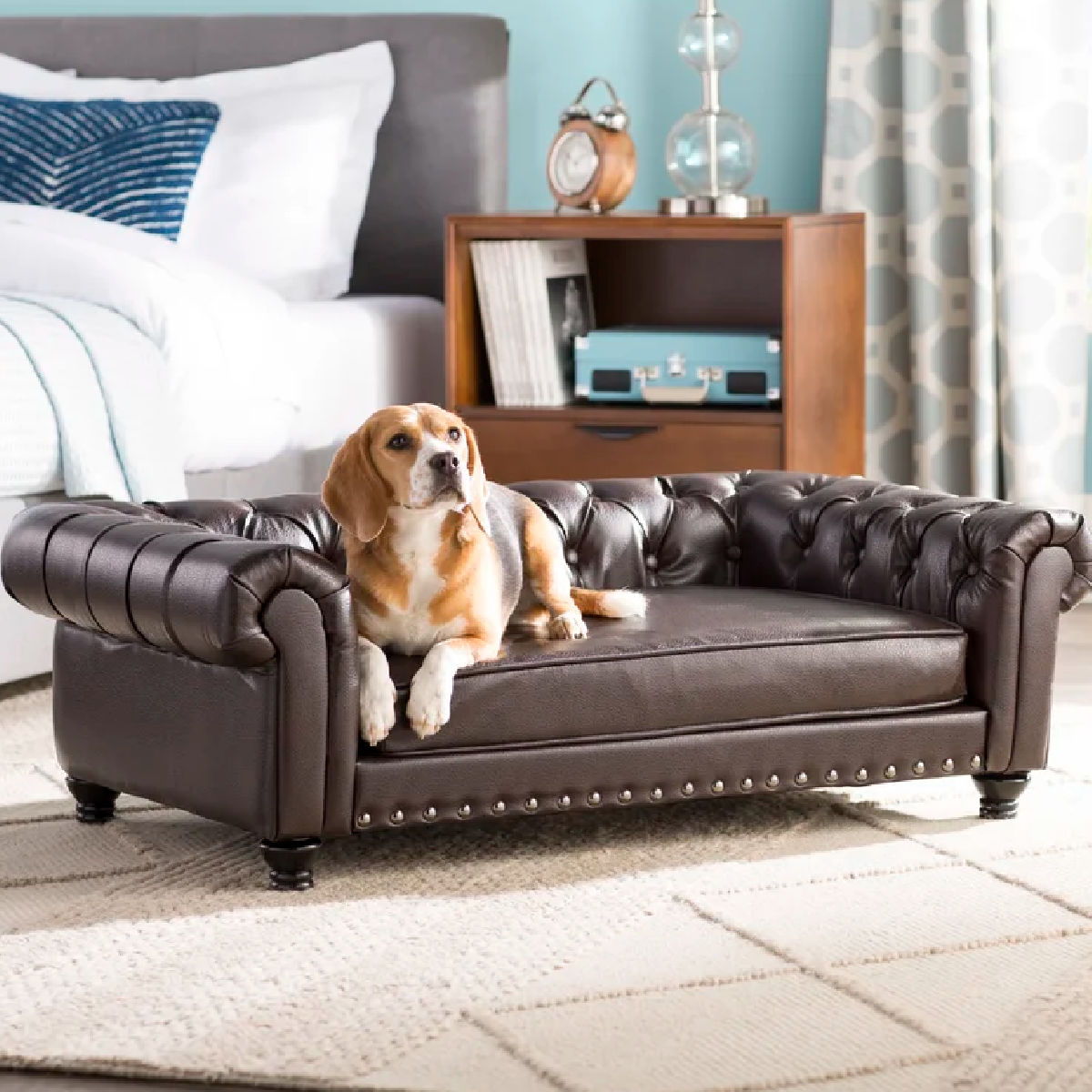 Three Posts Larock Dog Sofa