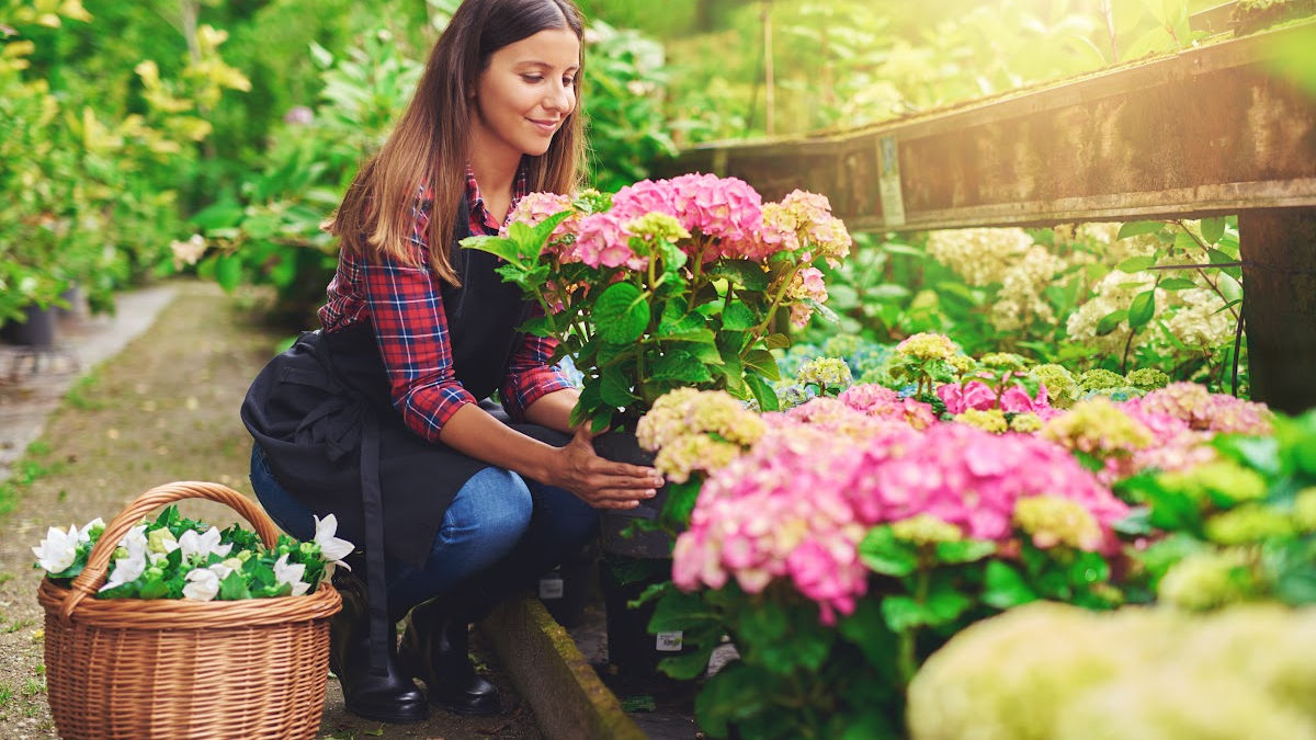 Budget-Friendly Spring Gardening Tips