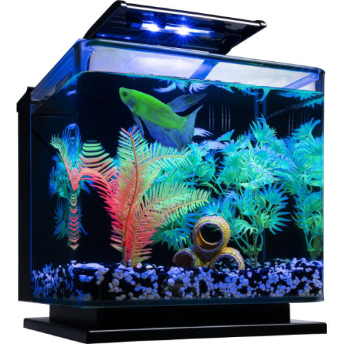 GloFish 3-Gallon Betta Fish Aquarium Kit